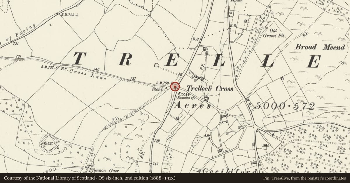 Ordnance Survey six-inch map, 2nd edition (1888–1913) covering the location of Trellech Cross Cross-Base, Trellech United, Monmouthshire, with a pin at the register's coordinates