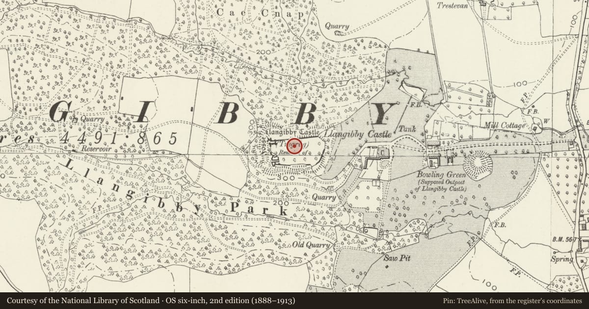 Ordnance Survey six-inch map, 2nd edition (1888–1913) covering the location of Llangibby Castle (Castell Tregrug), Llangybi, Monmouthshire, with a pin at the register's coordinates