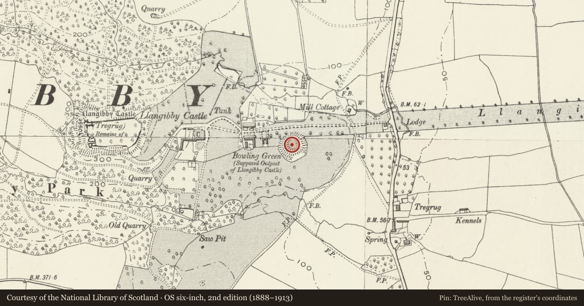 Ordnance Survey six-inch map, 2nd edition (1888–1913) covering the location of Llangibby Castle Mound, Llangybi, Monmouthshire, with a pin at the register's coordinates