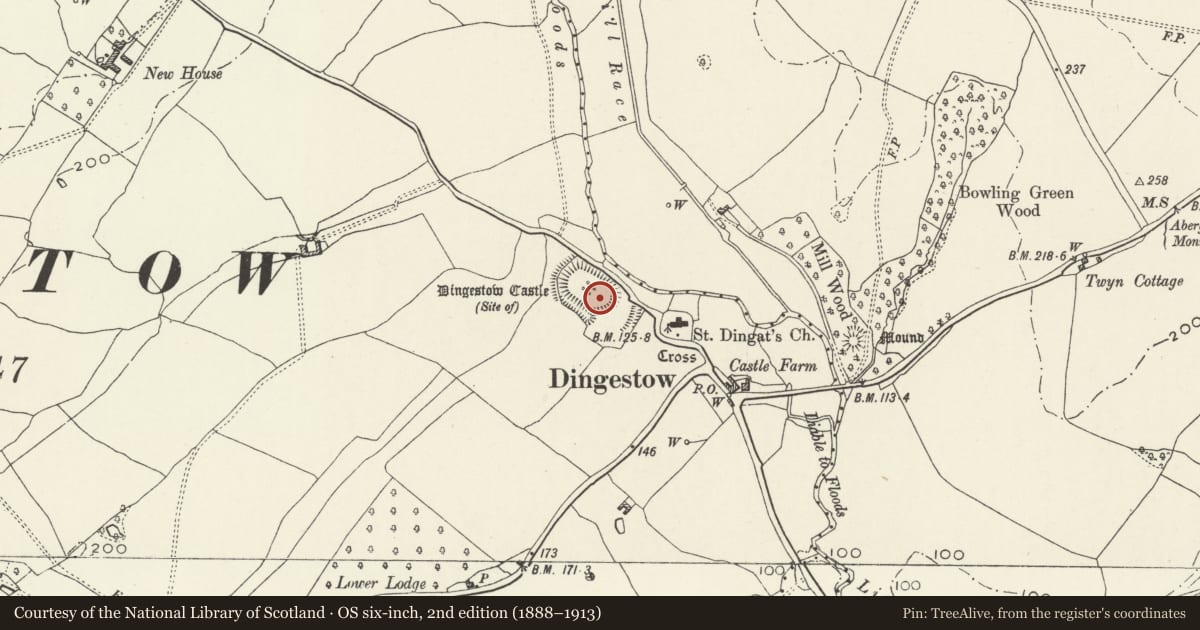 Ordnance Survey six-inch map, 2nd edition (1888–1913) covering the location of Dingestow Castle, Mitchel Troy, Monmouthshire, with a pin at the register's coordinates