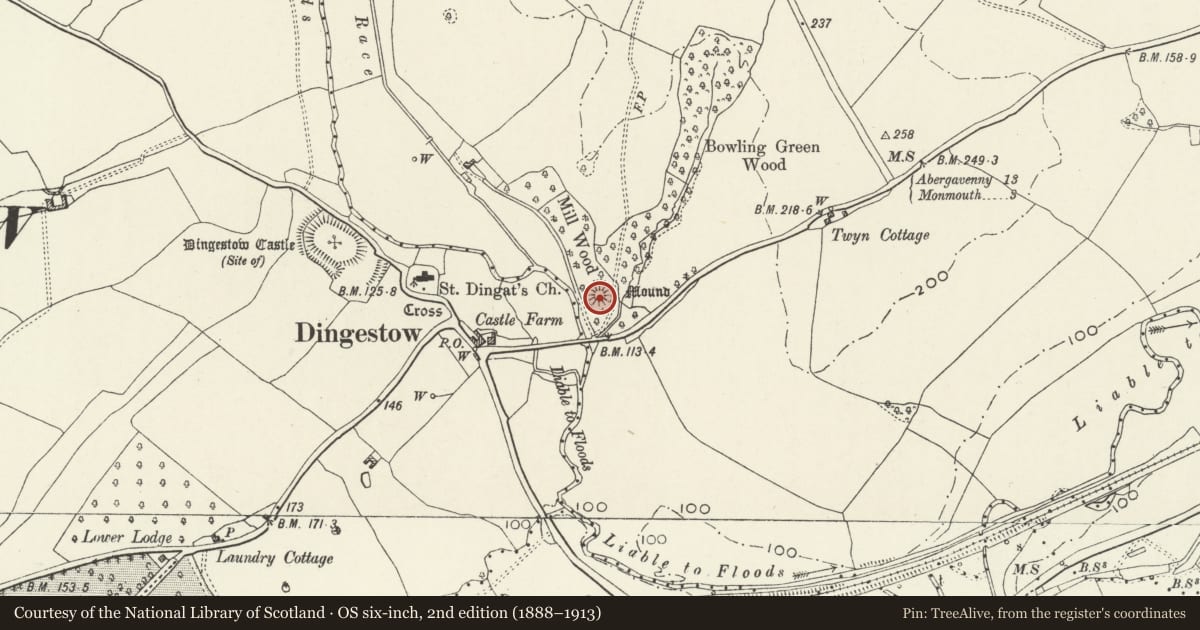 Ordnance Survey six-inch map, 2nd edition (1888–1913) covering the location of Mill Wood Castle Mound, Mitchel Troy, Monmouthshire, with a pin at the register's coordinates