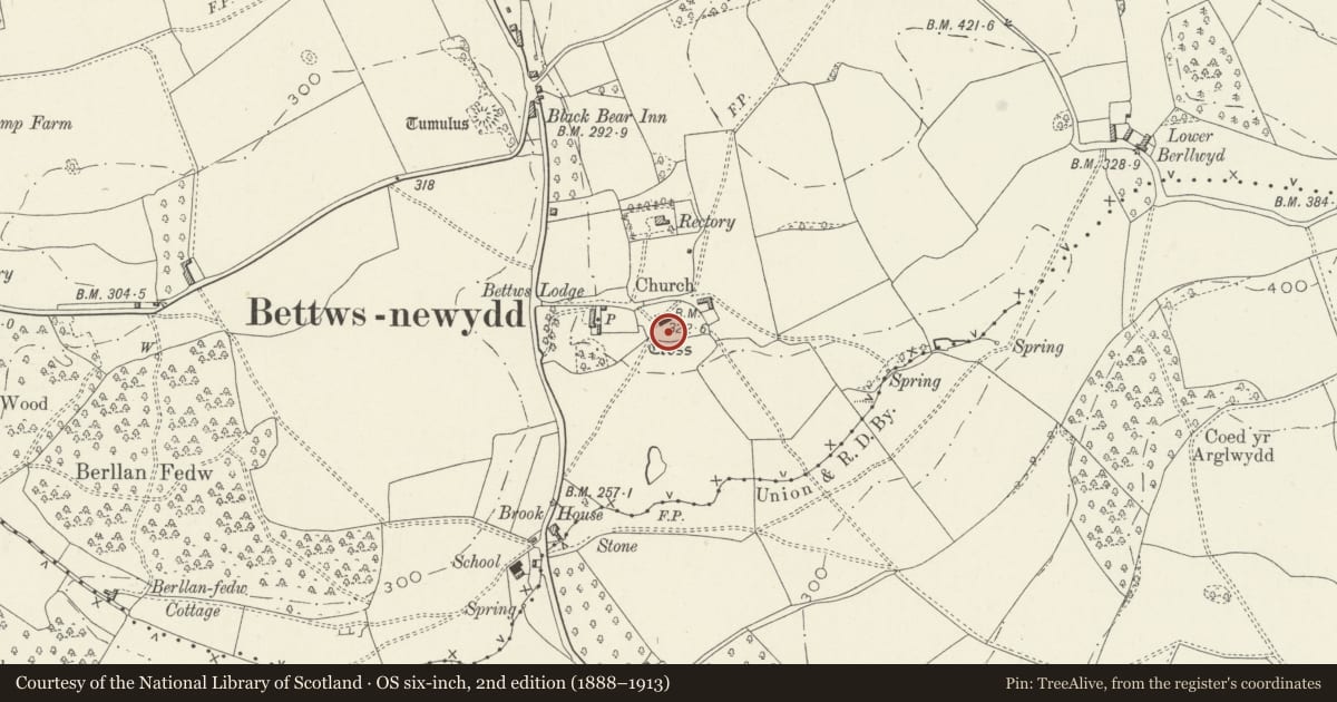 Ordnance Survey six-inch map, 2nd edition (1888–1913) covering the location of Bettws Newydd Churchyard Cross-Base, Llanarth, Monmouthshire, with a pin at the register's coordinates