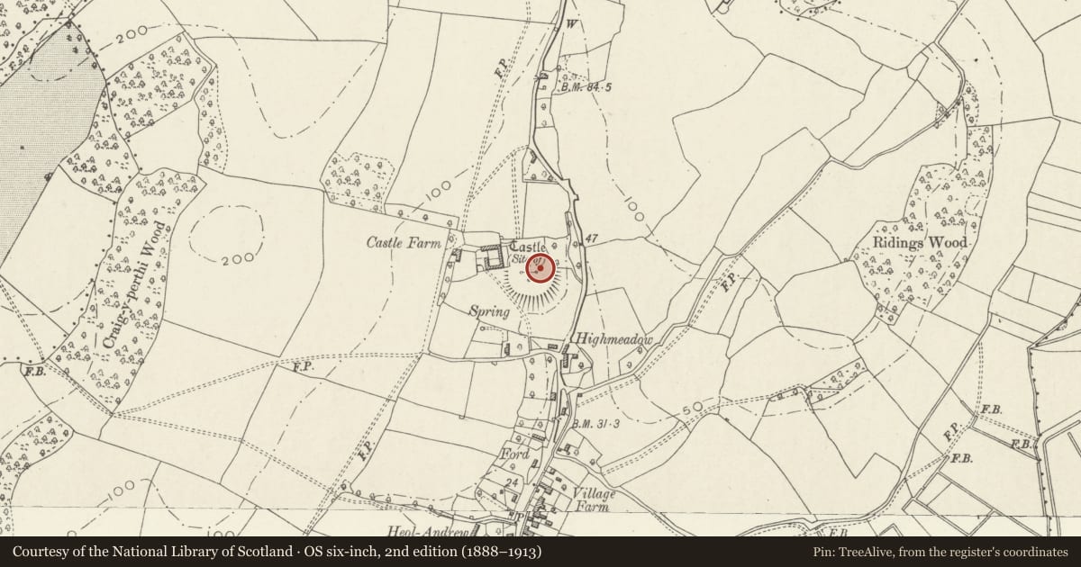Ordnance Survey six-inch map, 2nd edition (1888–1913) covering the location of Bishton Castle, Newport, with a pin at the register's coordinates