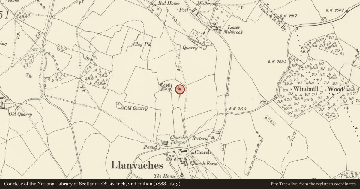 Ordnance Survey six-inch map, 2nd edition (1888–1913) covering the location of Llanvaches Castle, Newport, with a pin at the register's coordinates