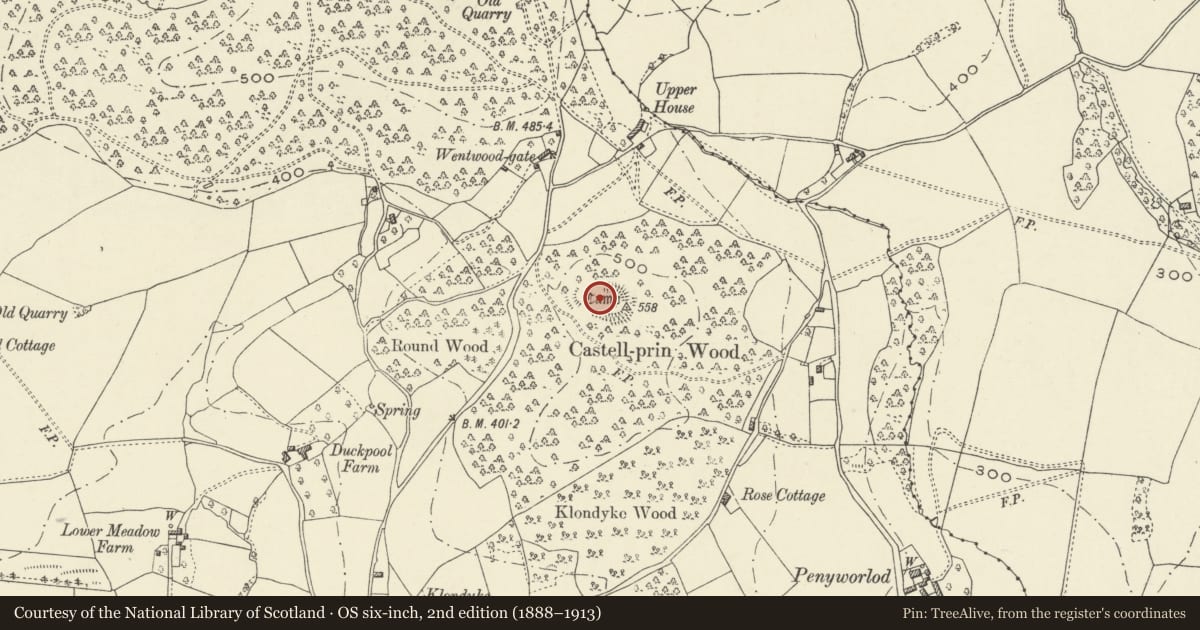 Ordnance Survey six-inch map, 2nd edition (1888–1913) covering the location of Castell Prin Camp, Penhow, Newport, with a pin at the register's coordinates