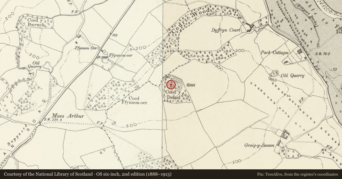 Ordnance Survey six-inch map, 2nd edition (1888–1913) covering the location of Coed y Defaid Camp, Coedkernew, Newport, with a pin at the register's coordinates