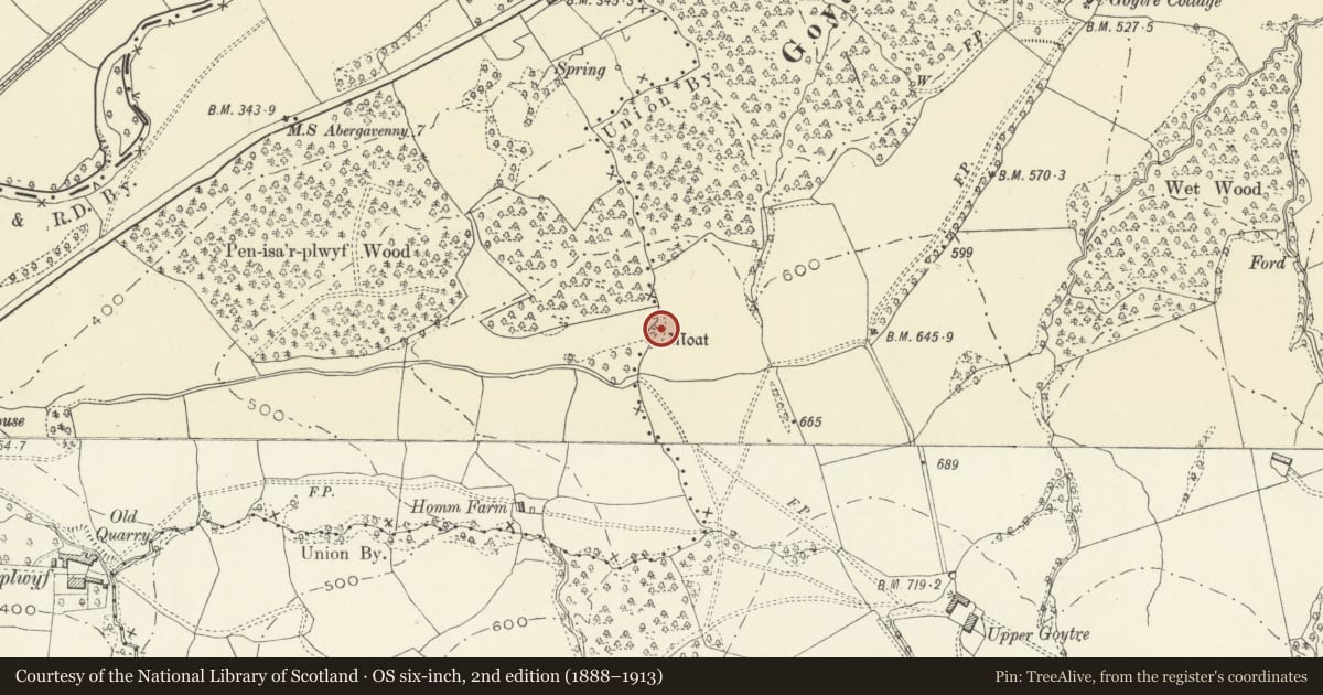 Ordnance Survey six-inch map, 2nd edition (1888–1913) covering the location of Goytre Wood Castle Mound, Grosmont, Monmouthshire, with a pin at the register's coordinates