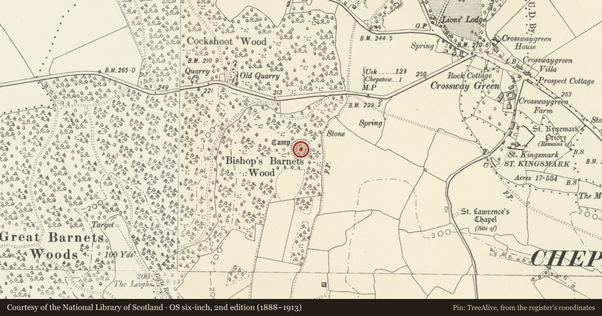 Ordnance Survey six-inch map, 2nd edition (1888–1913) covering the location of Bishop Barnet's Wood Camp, St. Arvans, Monmouthshire, with a pin at the register's coordinates