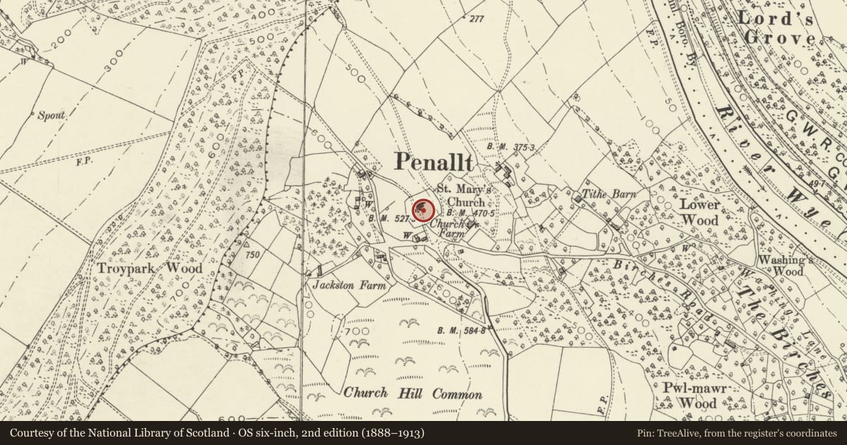 Ordnance Survey six-inch map, 2nd edition (1888–1913) covering the location of Penallt Churchyard Cross, Trellech United, Monmouthshire, with a pin at the register's coordinates