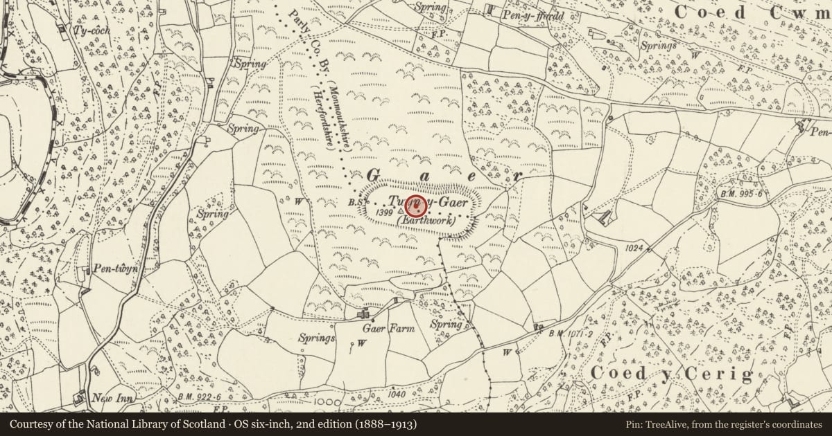 Ordnance Survey six-inch map, 2nd edition (1888–1913) covering the location of Twyn-y-Gaer Camp, Crucorney, Monmouthshire, with a pin at the register's coordinates