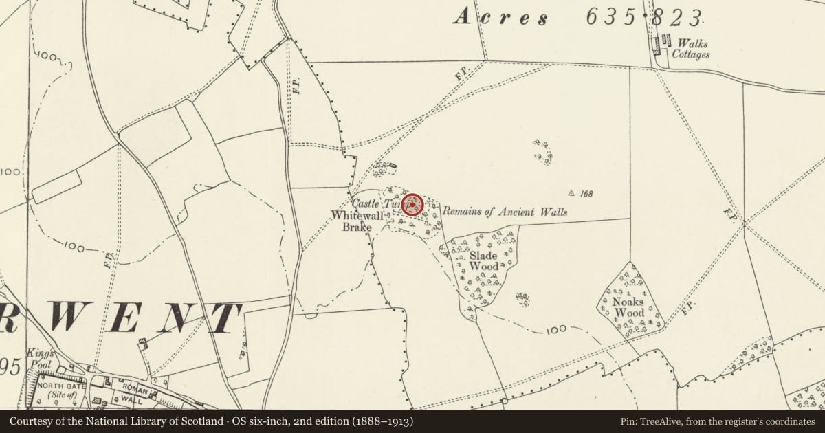 Ordnance Survey six-inch map, 2nd edition (1888–1913) covering the location of Whitewall Brake Roman Site, Caerwent, Monmouthshire, with a pin at the register's coordinates