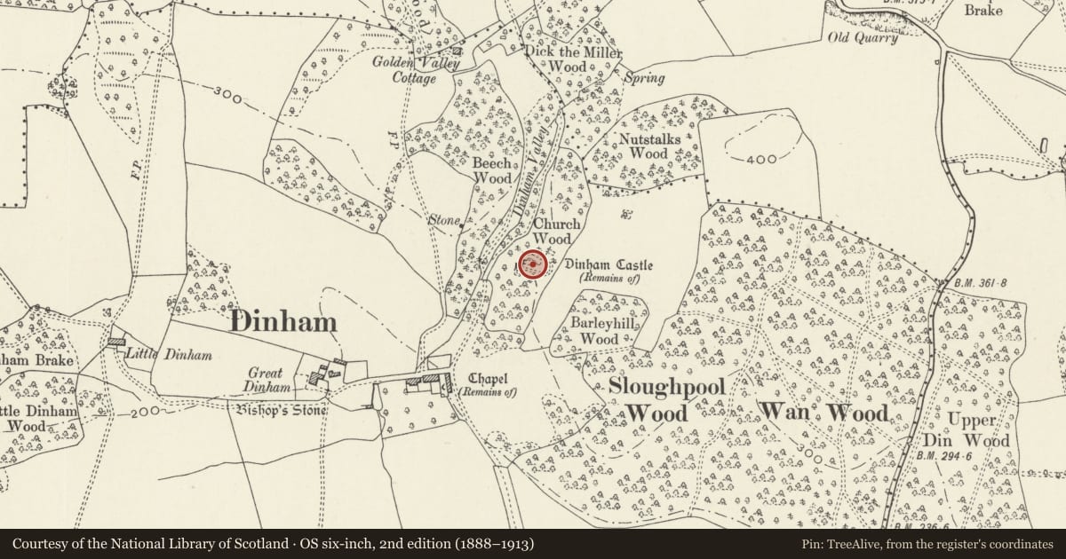 Ordnance Survey six-inch map, 2nd edition (1888–1913) covering the location of Dinham Castle, Caerwent, Monmouthshire, with a pin at the register's coordinates