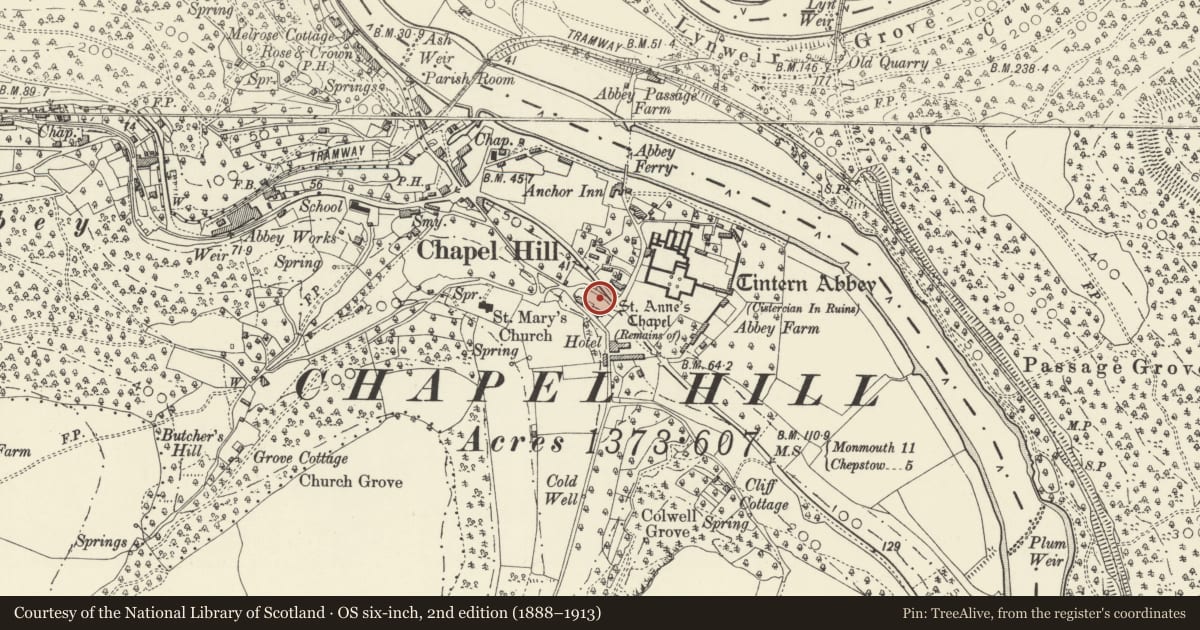 Ordnance Survey six-inch map, 2nd edition (1888–1913) covering the location of Tintern Abbey, Precinct Wall, Wye Valley, Monmouthshire, with a pin at the register's coordinates