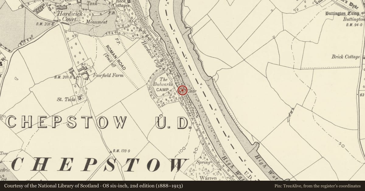 Ordnance Survey six-inch map, 2nd edition (1888–1913) covering the location of St Peter's Cave, Chepstow, Monmouthshire, with a pin at the register's coordinates