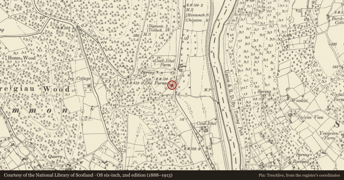 Ordnance Survey six-inch map, 2nd edition (1888–1913) covering the location of Early Iron Furnace at Coed-Ithel, Wye Valley, Monmouthshire, with a pin at the register's coordinates