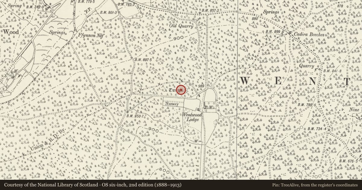 Ordnance Survey six-inch map, 2nd edition (1888–1913) covering the location of Two Round Barrows 180m North West of Wentwood Lodge, Shirenewton, Monmouthshire, with a pin at the register's coordinates