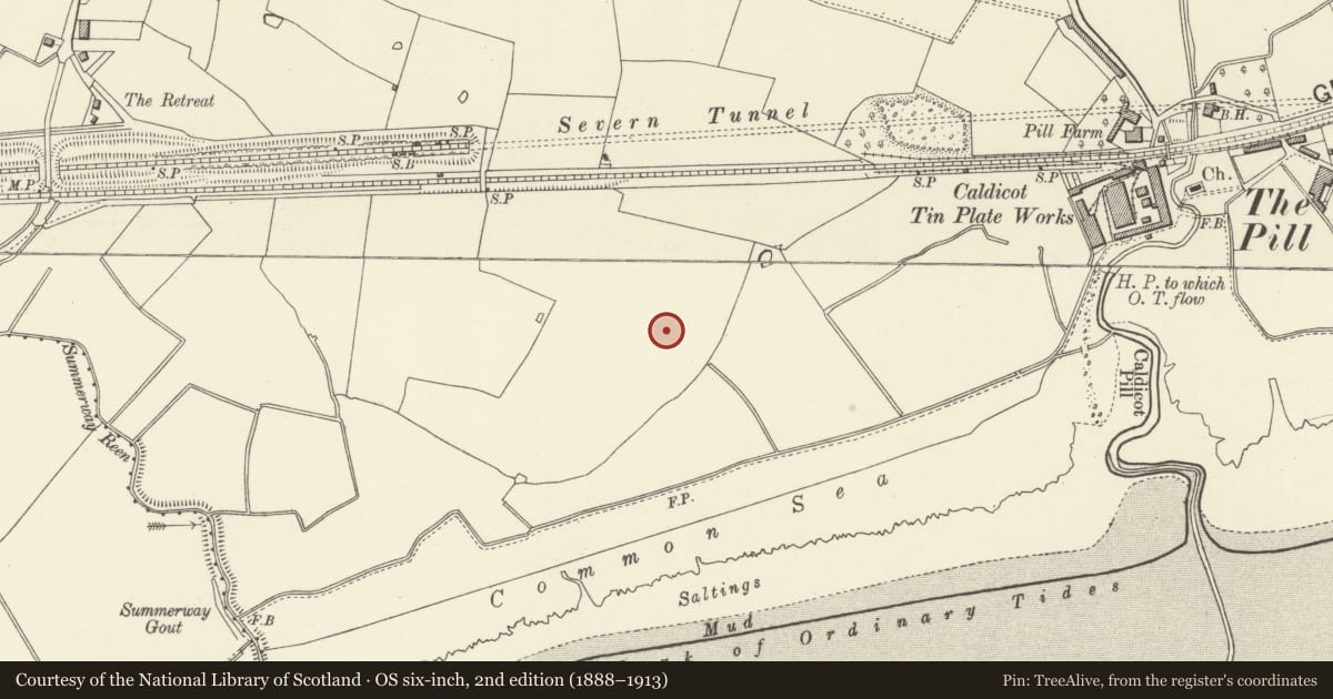 Ordnance Survey six-inch map, 2nd edition (1888–1913) covering the location of Enclosure revealed by Aerial Photography, Caldicot, Monmouthshire, with a pin at the register's coordinates