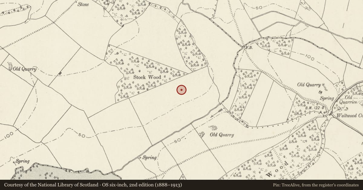 Ordnance Survey six-inch map, 2nd edition (1888–1913) covering the location of Round Barrow 57m South of Stock Wood, Langstone, Newport, with a pin at the register's coordinates