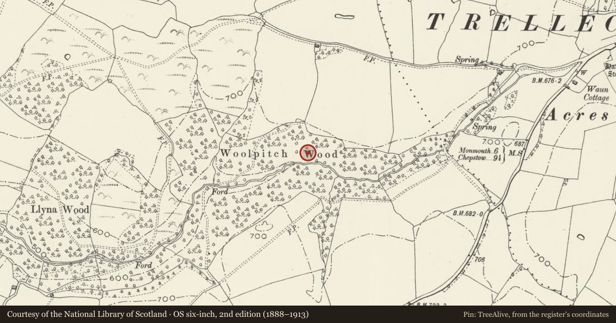 Ordnance Survey six-inch map, 2nd edition (1888–1913) covering the location of Early Iron Furnace in Woolpitch Wood, Trellech United, Monmouthshire, with a pin at the register's coordinates