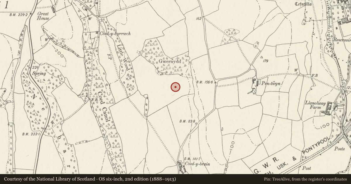 Ordnance Survey six-inch map, 2nd edition (1888–1913) covering the location of Camp 650m South of Ty Freeman, Gwehelog Fawr, Monmouthshire, with a pin at the register's coordinates