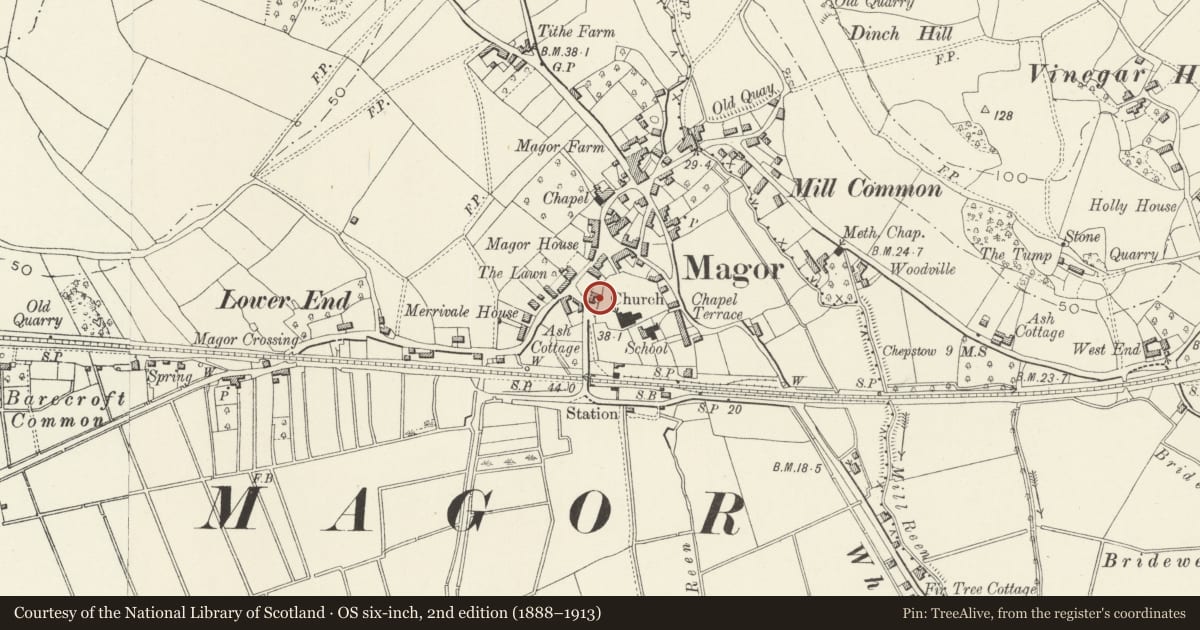 Ordnance Survey six-inch map, 2nd edition (1888–1913) covering the location of Medieval Building adjoining Magor Churchyard, Magor with Undy, Monmouthshire, with a pin at the register's coordinates