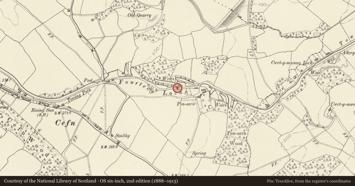 Ordnance Survey six-inch map, 2nd edition (1888–1913) covering the location of Fourteen Locks, Monmouthshire Canal, Rogerstone, Newport, with a pin at the register's coordinates