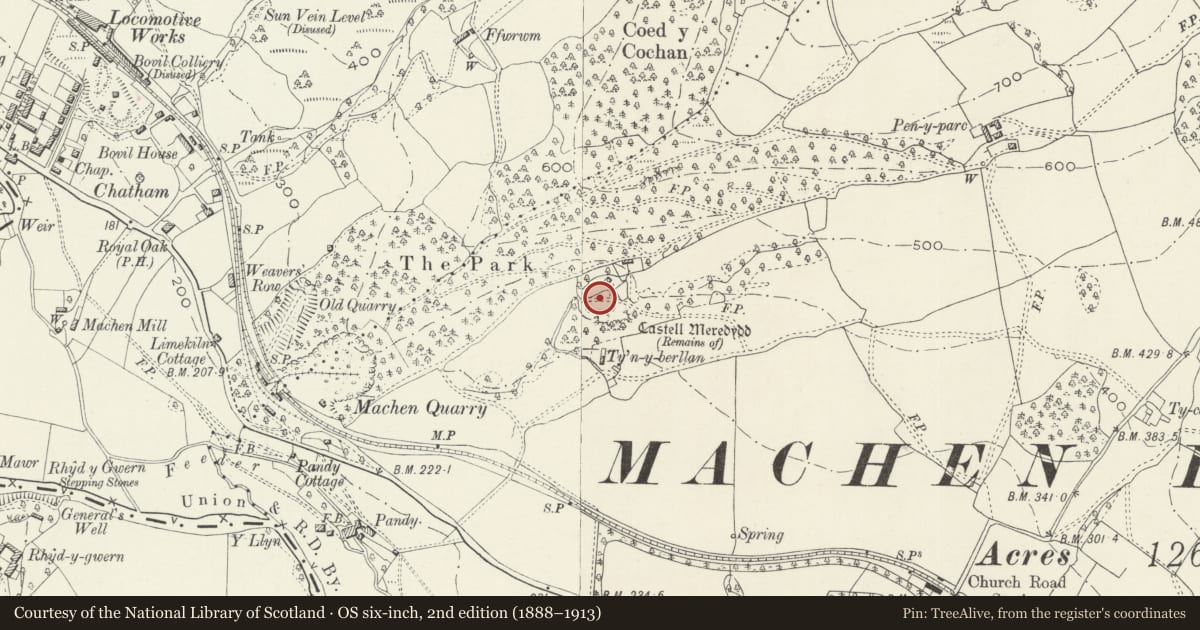 Ordnance Survey six-inch map, 2nd edition (1888–1913) covering the location of Castell Meredydd, Graig, Newport, with a pin at the register's coordinates
