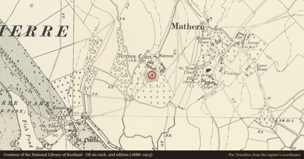 Ordnance Survey six-inch map, 2nd edition (1888–1913) covering the location of Moated Site South of Moynes Court, Mathern, Monmouthshire, with a pin at the register's coordinates