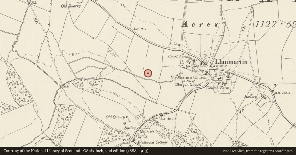 Ordnance Survey six-inch map, 2nd edition (1888–1913) covering the location of Moated Site 200m South West of Court Farm, Langstone, Newport, with a pin at the register's coordinates