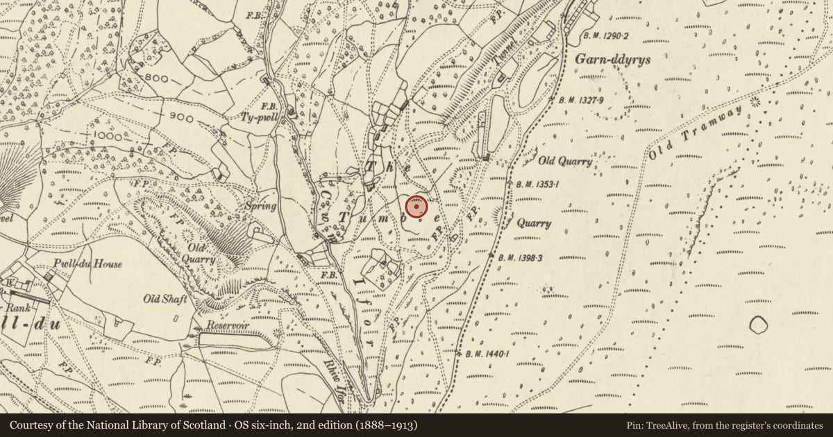 Ordnance Survey six-inch map, 2nd edition (1888–1913) covering the location of Garnddyrys Ironworks (Site of) and adjacent Tramway, Llanfoist Fawr, Monmouthshire, with a pin at the register's coordinates