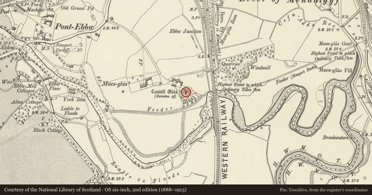 Ordnance Survey six-inch map, 2nd edition (1888–1913) covering the location of Castell Glas Castle Mound, Gaer, Newport, with a pin at the register's coordinates