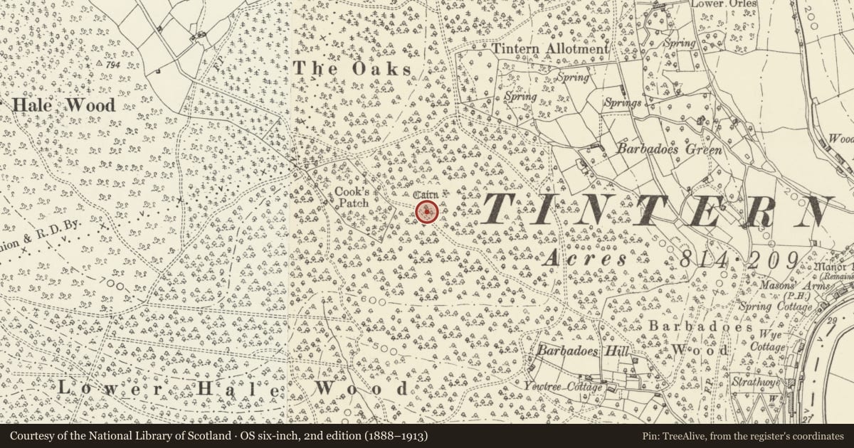Ordnance Survey six-inch map, 2nd edition (1888–1913) covering the location of Three Round Barrows in Lower Hale Wood, Wye Valley, Monmouthshire, with a pin at the register's coordinates