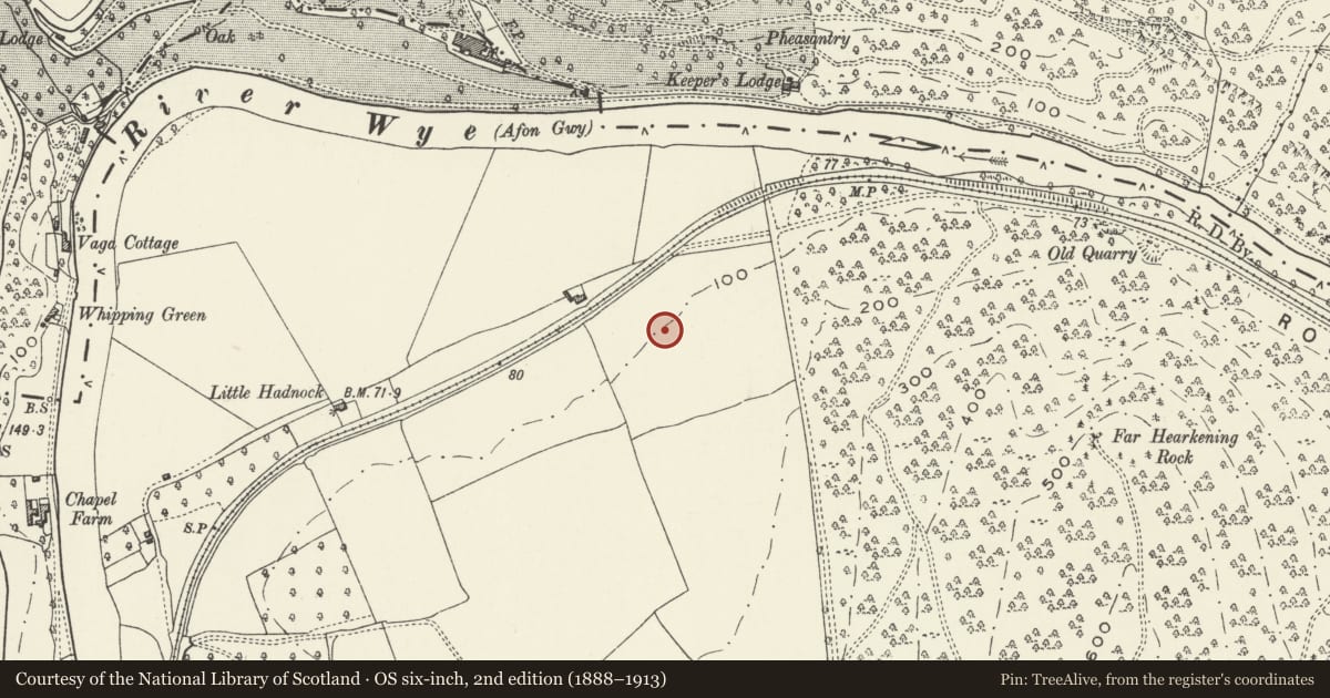 Ordnance Survey six-inch map, 2nd edition (1888–1913) covering the location of Little Hadnock Roman Villa, Dixton Newtown, Monmouth, Monmouthshire, with a pin at the register's coordinates