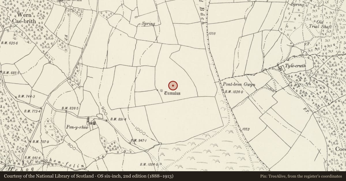 Ordnance Survey six-inch map, 2nd edition (1888–1913) covering the location of Cairn Cemetery on Mynydd Bach, Bedwas, Maesycwmmer, Caerphilly, with a pin at the register's coordinates
