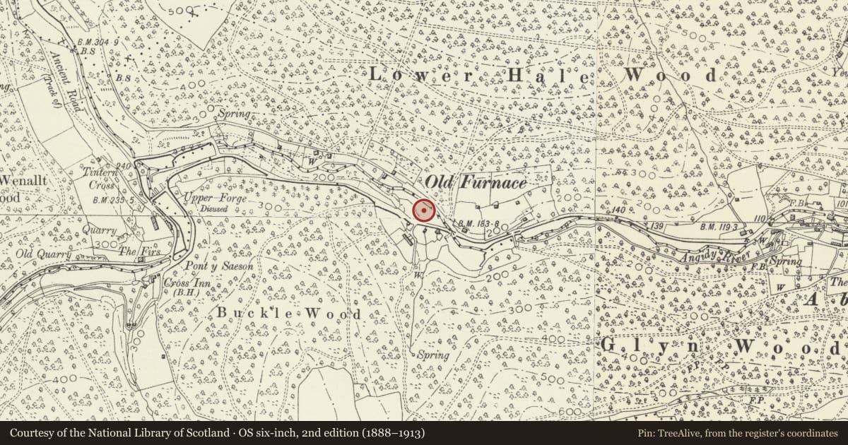 Ordnance Survey six-inch map, 2nd edition (1888–1913) covering the location of Old Furnace Blast Furnace, Wye Valley, Monmouthshire, with a pin at the register's coordinates