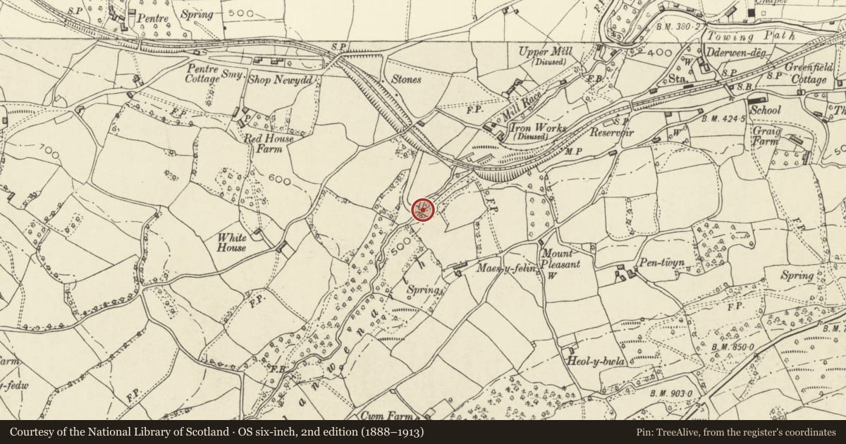 Ordnance Survey six-inch map, 2nd edition (1888–1913) covering the location of Tramroad Bridge, Bailey's Tramroad, Govilon, Llanfoist Fawr, Monmouthshire, with a pin at the register's coordinates