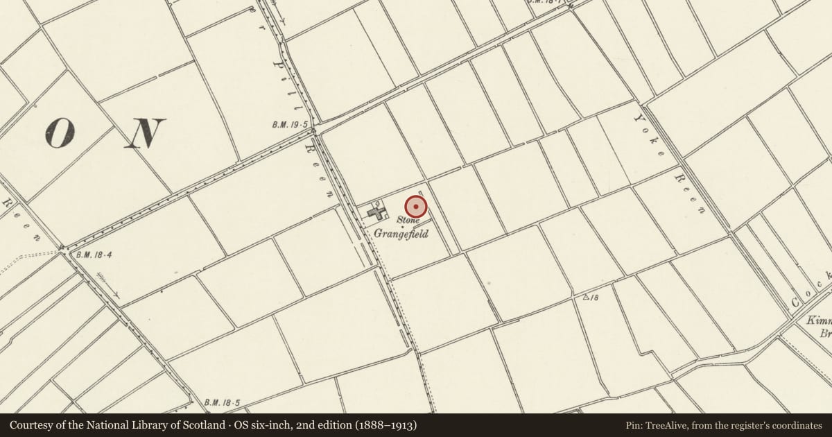 Ordnance Survey six-inch map, 2nd edition (1888–1913) covering the location of Moated Site E of Grangefield Farm, Redwick, Newport, with a pin at the register's coordinates