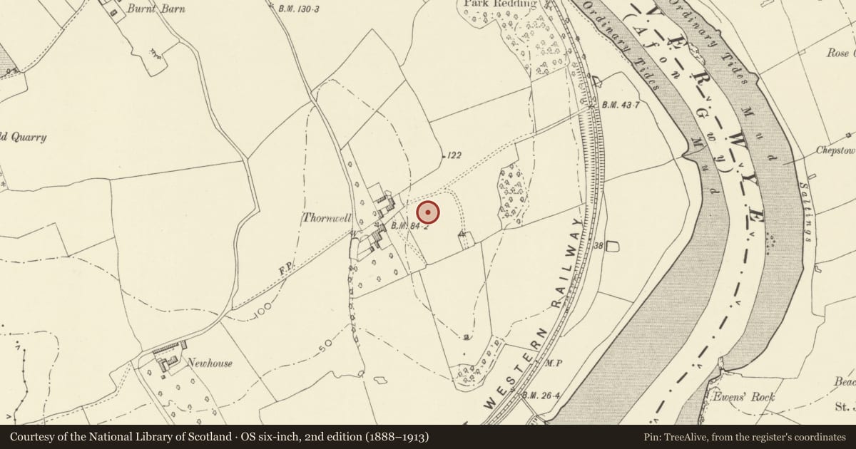 Ordnance Survey six-inch map, 2nd edition (1888–1913) covering the location of Long Barrow and Round Barrow at Thornwell Farm, Chepstow, Monmouthshire, with a pin at the register's coordinates