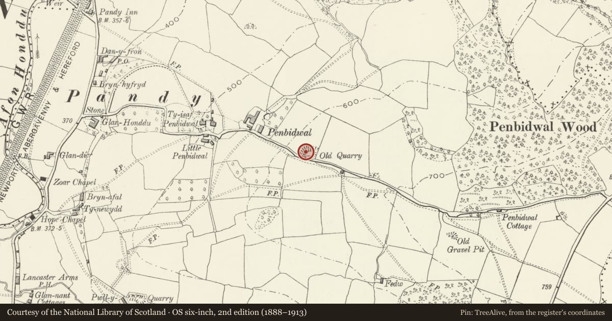 Ordnance Survey six-inch map, 2nd edition (1888–1913) covering the location of Penbidwal Moated Site, Crucorney, Monmouthshire, with a pin at the register's coordinates