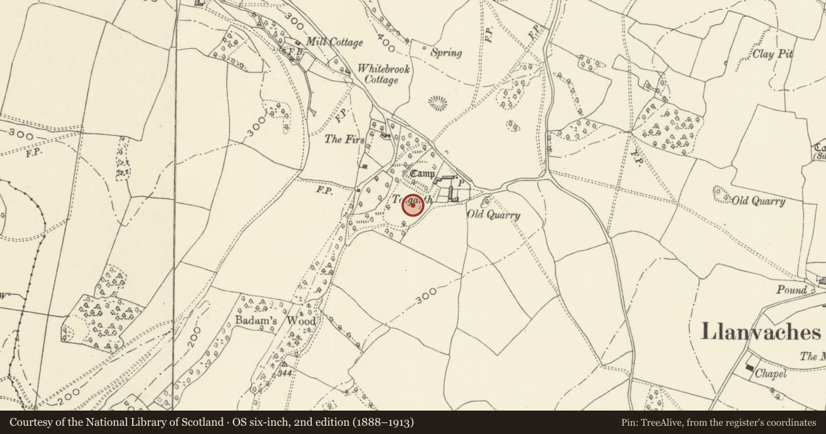 Ordnance Survey six-inch map, 2nd edition (1888–1913) covering the location of Talgarth settlement earthworks, Llanvaches, Newport, with a pin at the register's coordinates
