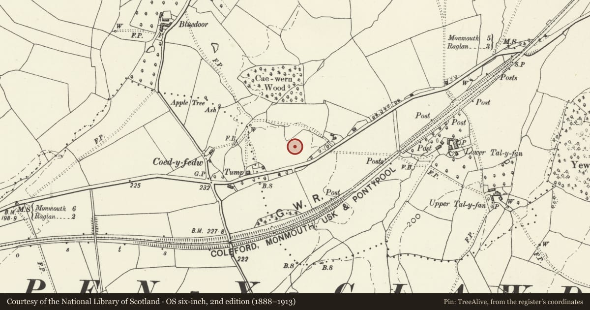Ordnance Survey six-inch map, 2nd edition (1888–1913) covering the location of Moated Site at Coed-y-Fedw, Mitchel Troy, Monmouthshire, with a pin at the register's coordinates