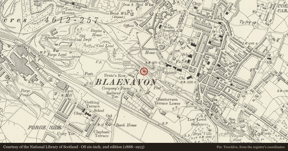 Ordnance Survey six-inch map, 2nd edition (1888–1913) covering the location of Aaron Brute's Level and Iron Bridge, Blaenavon, Torfaen, with a pin at the register's coordinates