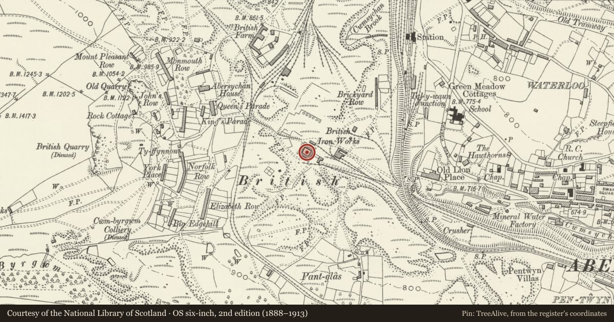 Ordnance Survey six-inch map, 2nd edition (1888–1913) covering the location of Air Furnace at British Ironworks, Abersychan, Torfaen, with a pin at the register's coordinates