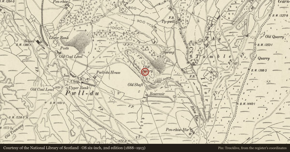 Ordnance Survey six-inch map, 2nd edition (1888–1913) covering the location of Pwll Du Limestone Quarry & Water Balance Lift, Llanfoist Fawr, Monmouthshire, with a pin at the register's coordinates