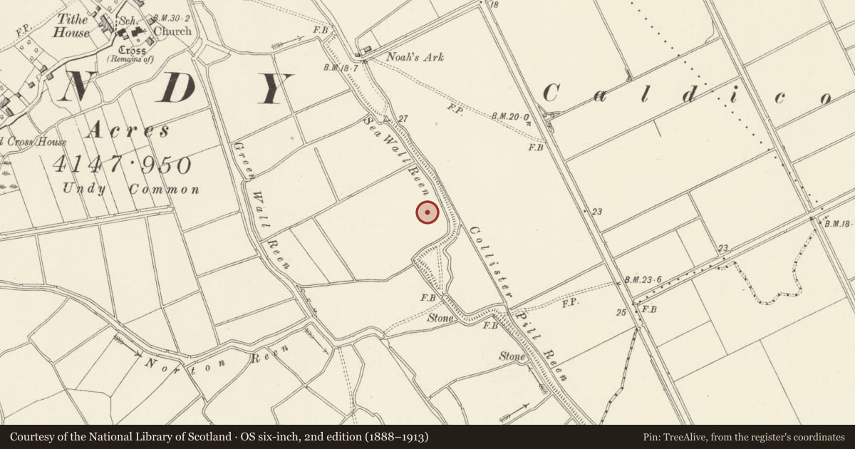 Ordnance Survey six-inch map, 2nd edition (1888–1913) covering the location of Relict Seawall alongside Collister Pill Reen, Magor with Undy, Monmouthshire, with a pin at the register's coordinates