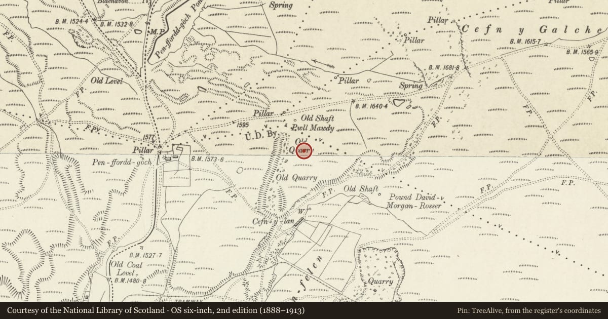 Ordnance Survey six-inch map, 2nd edition (1888–1913) covering the location of Iron and coal patching at Pen-ffordd-goch, Blaenavon, Monmouthshire, with a pin at the register's coordinates