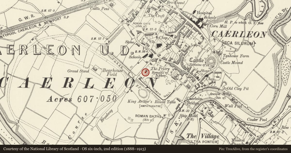Ordnance Survey six-inch map, 2nd edition (1888–1913) covering the location of Caerleon Legionary Fortress: Field SE of Broadway, Newport, with a pin at the register's coordinates
