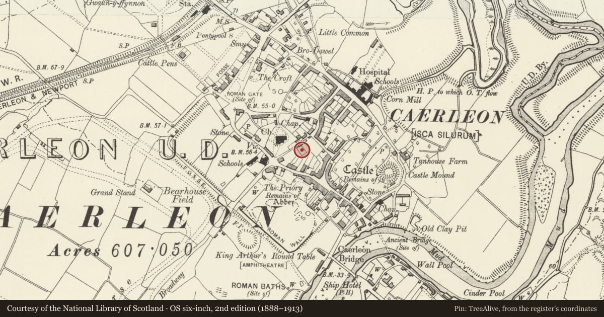 Ordnance Survey six-inch map, 2nd edition (1888–1913) covering the location of Caerleon Legionary Fortress: Back Garden of No 4 Museum Street, Newport, with a pin at the register's coordinates