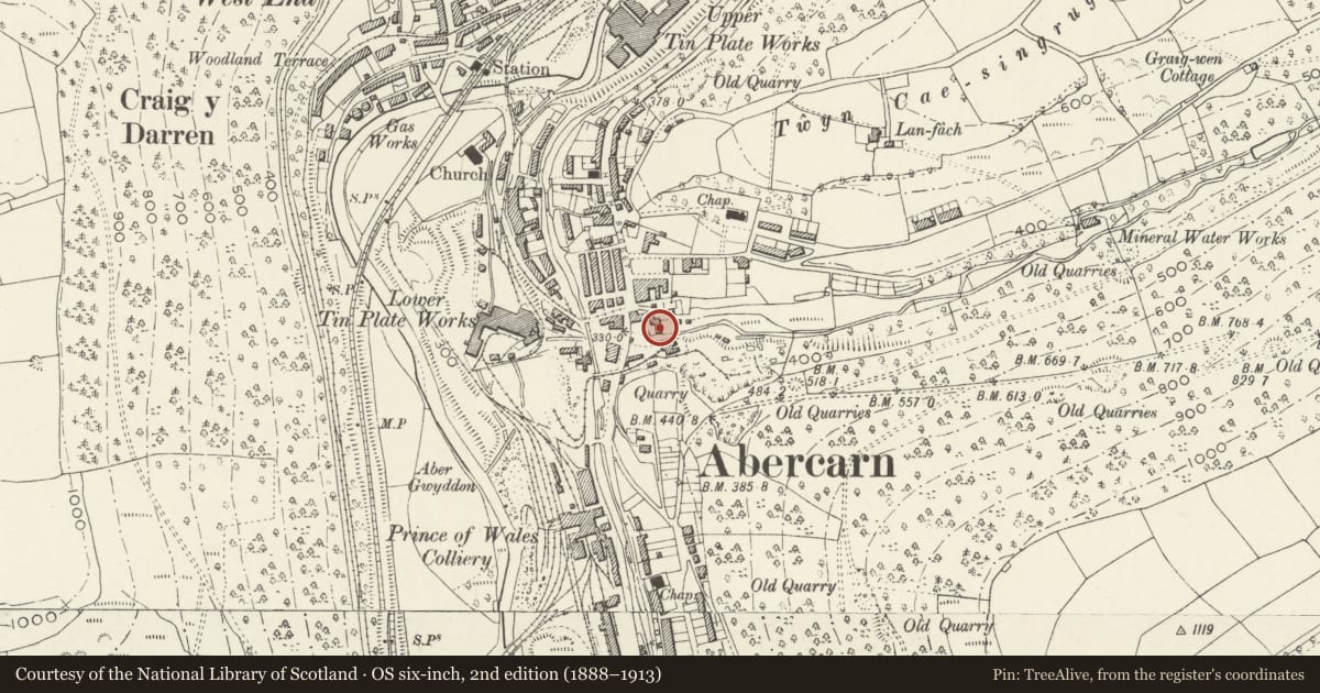 Ordnance Survey six-inch map, 2nd edition (1888–1913) covering the location of Charcoal Blast Furnace at Abercarn, Caerphilly, with a pin at the register's coordinates