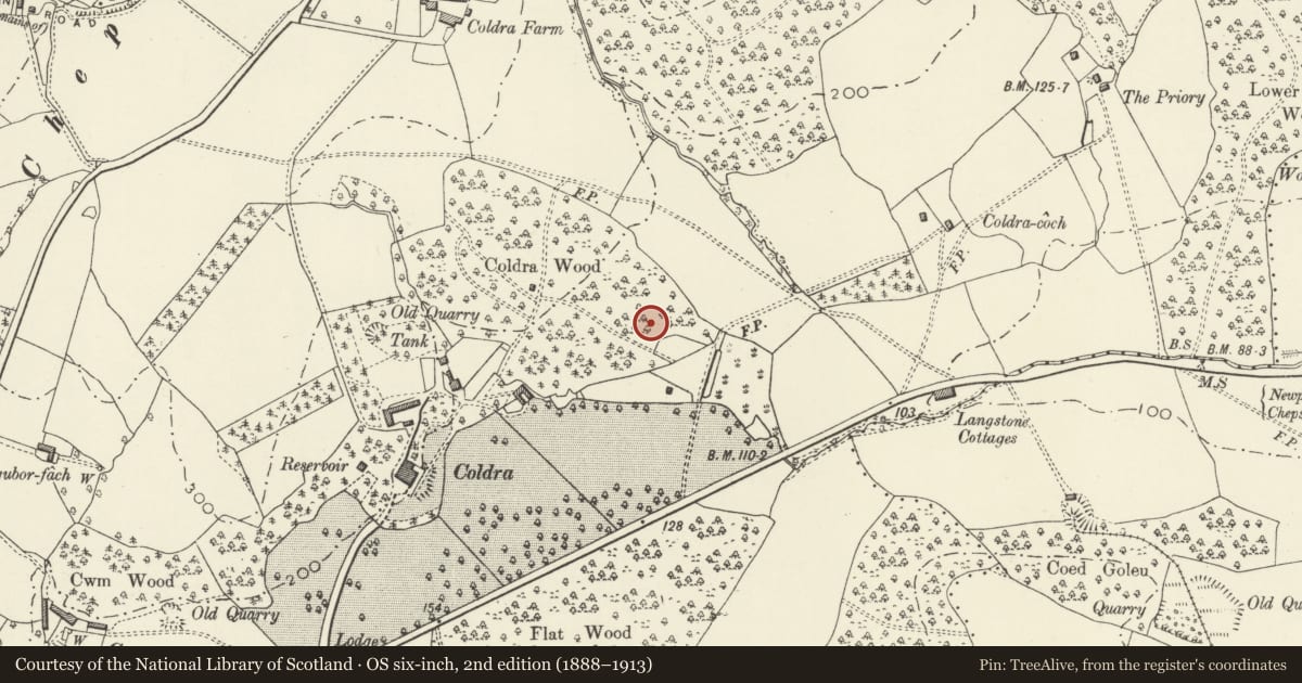 Ordnance Survey six-inch map, 2nd edition (1888–1913) covering the location of Moated Site in Coldra Wood, Caerleon, Newport, with a pin at the register's coordinates